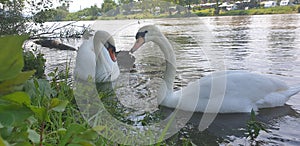 Ã°Å¸ËÅ Ã°Å¸ââ¢